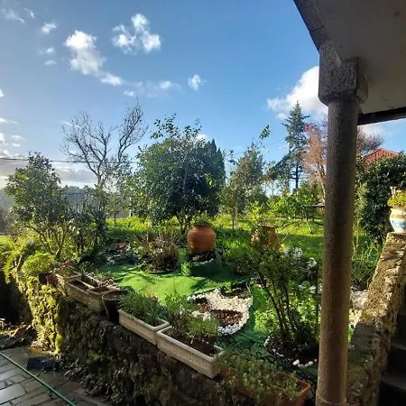 Casa Kamelias