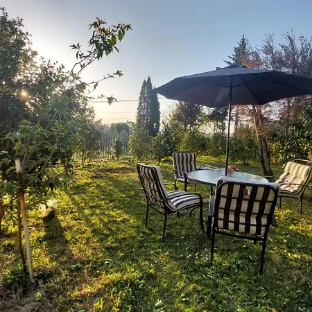 Casa Kamelias Moraña