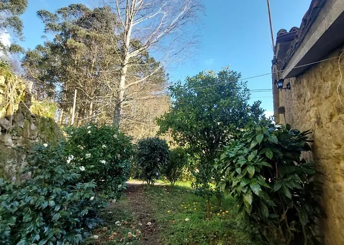 דירה Casa Kamelias