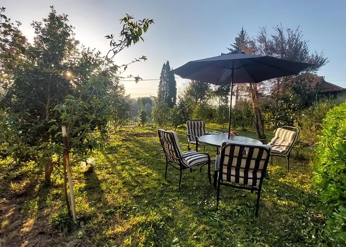 Casa Kamelias Moraña